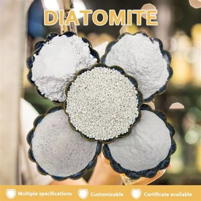  Diatomite: Un Polvo Antiguo Para la Industria Moderna de Filtración!